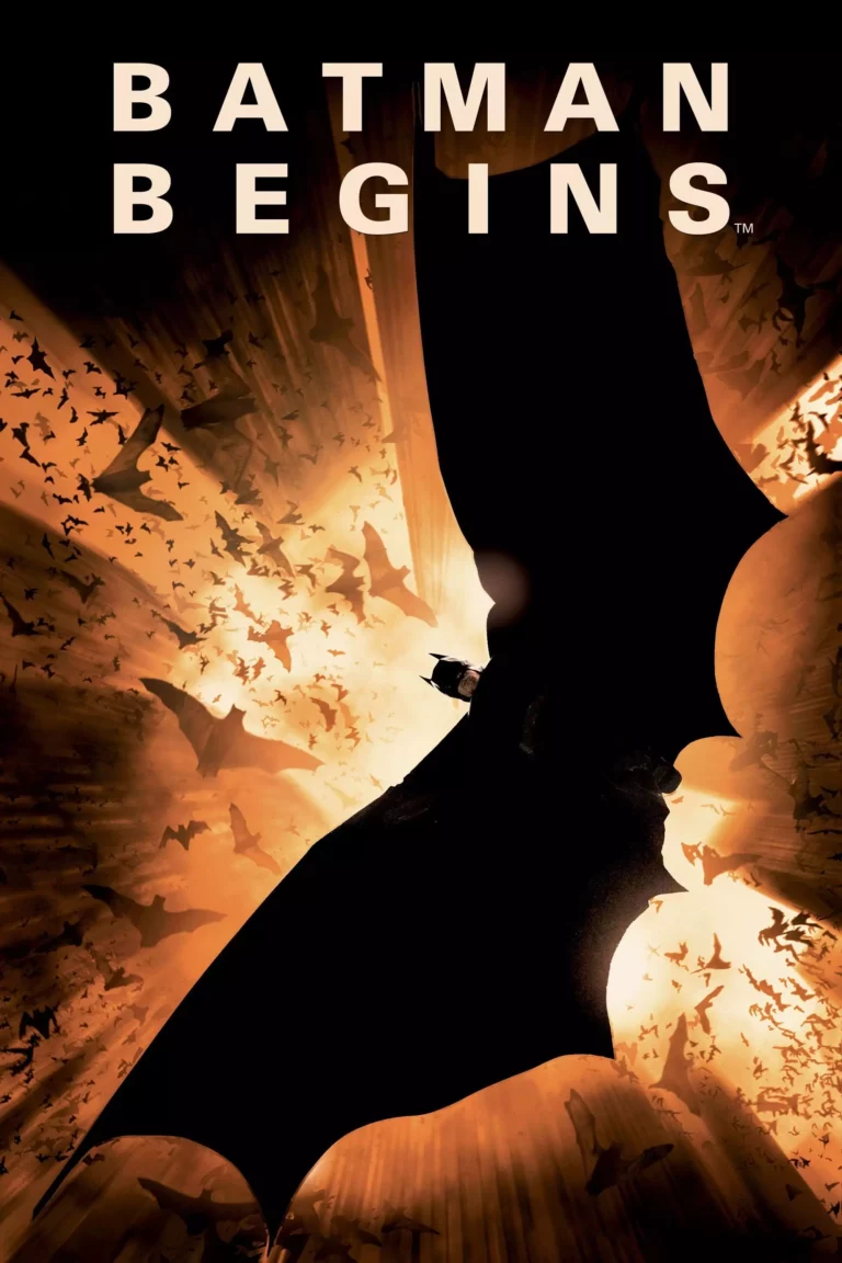 Batman begins